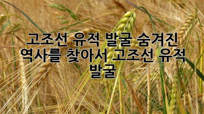 🇰🇷고조선 유적 발굴, 숨겨진 역사를 찾아서!🔍 #고조선 #유적 #발굴