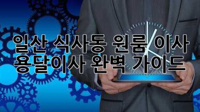 일산 식사동 원룸 이사? 용달이사 완벽 가이드!